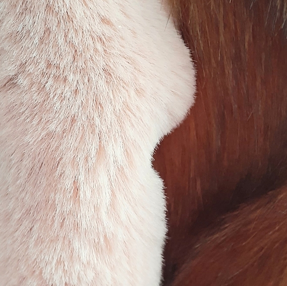 SHACI faux fur bomber jacket - Picture 7 of 10